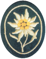 l'Edelweiss simbolo delle truppe alpine tedesche