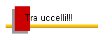 Tra uccelli!