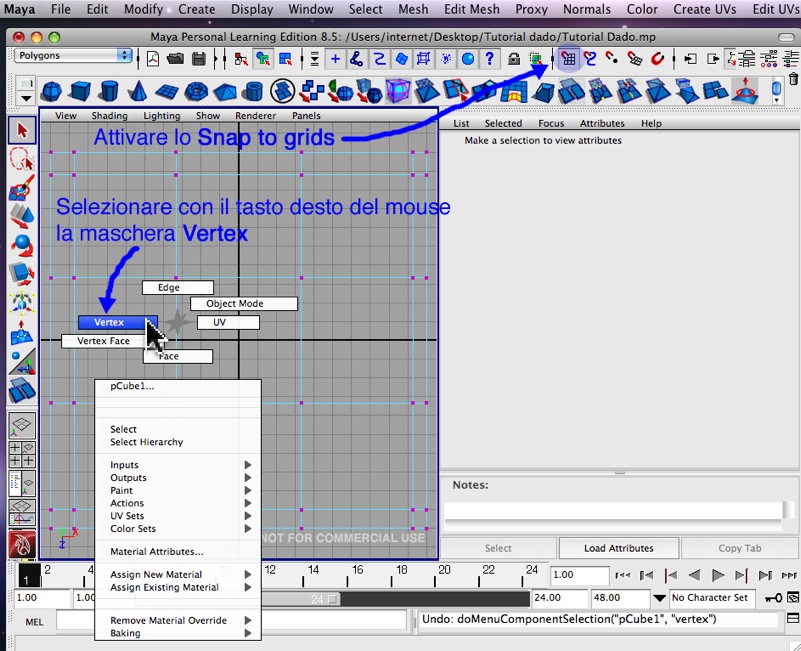 09 - Snap to Grids e select Vertex