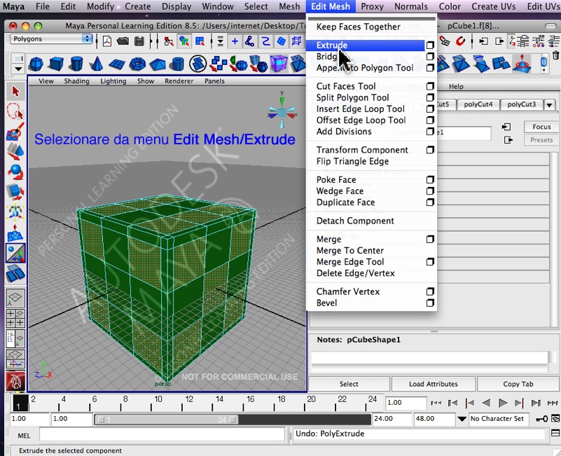 14 - Edit Mesh Extrude