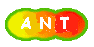 ant3.gif (2078 byte)