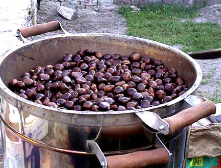 Castagne