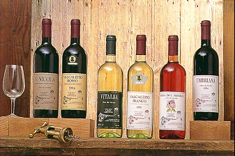 I nostri vini