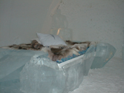 IceHotel_010