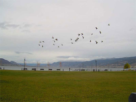 Penticton