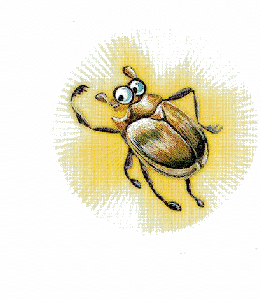 lo scarabeo d'oro dell'Otonga
