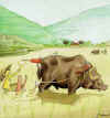 buffalo.jpg (18492 byte)