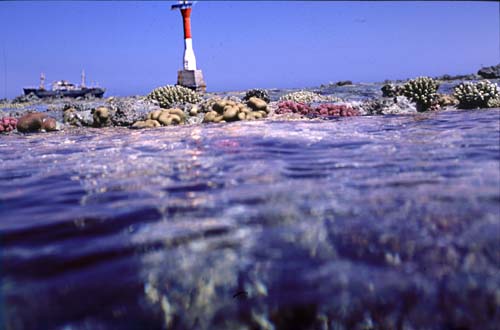 Gordon Reef  - il fanale ed il Loullia dal pelo dell'acqua - Ago 97 - Copyright  Mario Pasquini