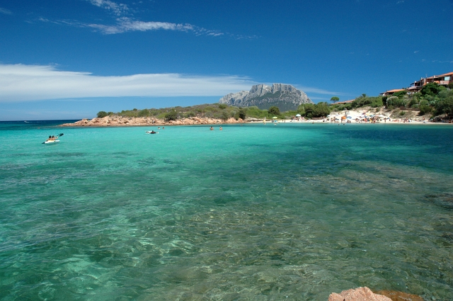 SARDEGNA - La Corallina.jpg