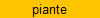 piante