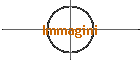 Immagini