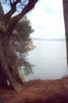 Scorcio del lago Trasimeno (Pg) - veduta da Castiglione del Lago