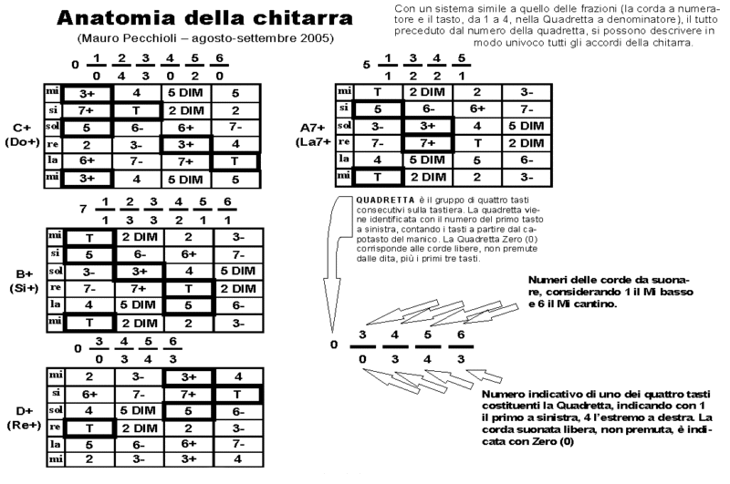 anatomiachitarra5