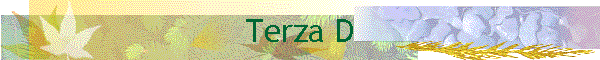 Terza D