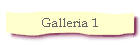 Galleria 1