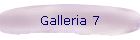 Galleria 7