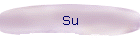 Su