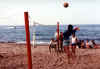 torneo beach  attacco  2 09-91.jpg (26428 byte)