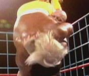 Hogan vs King Kong Bundy.