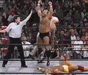 Hogan vs Arn Anderson.