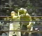 Hogan vs Jerry Lawler.