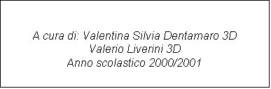 Casella di testo: A cura di: Valentina Silvia Dentamaro 3D
Valerio Liverini 3D
Anno scolastico 2000/2001
