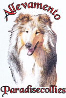 Click here for Paradise Collies web-site
