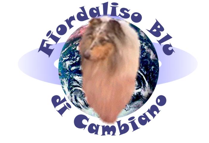 Click here for Fiordaliso Blu' di Cambiano homepage