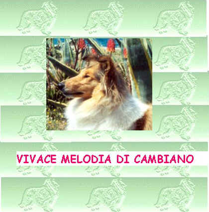Clicca qui per visitare il sito di Vivace Melodia di Cambiano