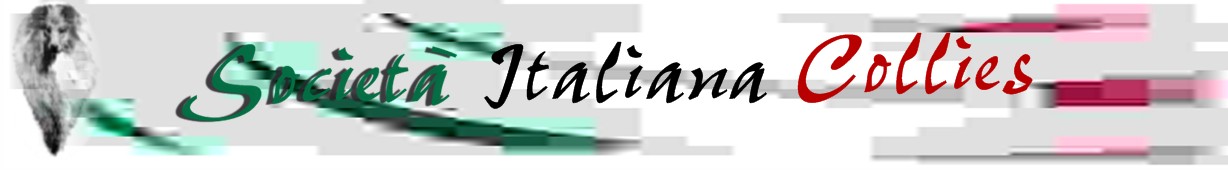 Clicca qui per il sito della Societa' Italiana Collies