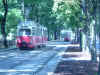 Vienna: tram e piste ciclabili....