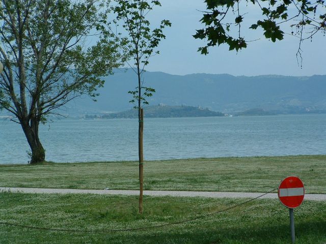 IL LAGO TRASIMENO