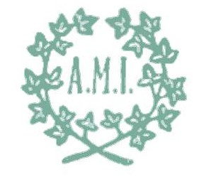 logo_Ami