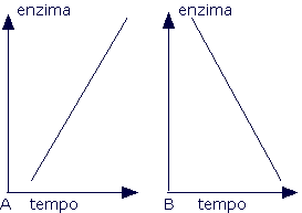 Medicina_1999_2000_16.gif