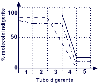 Medicina_2002_2003_40.gif