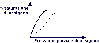 Medicina_2003_2004_44.gif