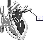 Medicina_2005_2006_37.jpg