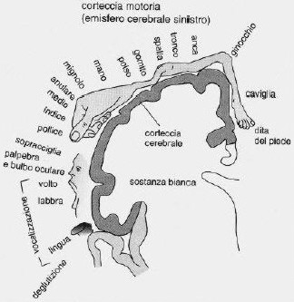 Medicina_2006_2007_44.jpg