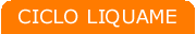 LiquameOn.gif (860 byte)