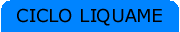 LiquameOn.gif (860 byte)