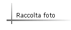 Raccolta foto