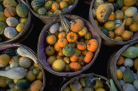 Una corretta dieta alimentare