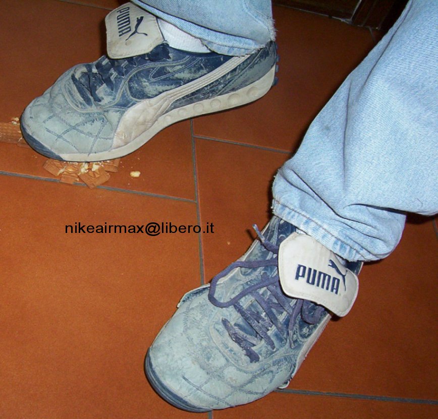 puma11.jpg (141192 byte)