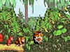 DONKEY KONG COUNTRY