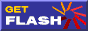 Scarica il Flash Player