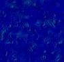 Bollicine blu