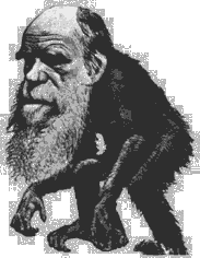 caricatura Darwin 7,4Kb