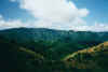 Veduta dal crinale da S.Paolo in Alpe.jpg (99096 byte)