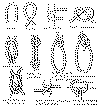 NODI1.gif (18995 byte)