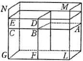 Figura 05